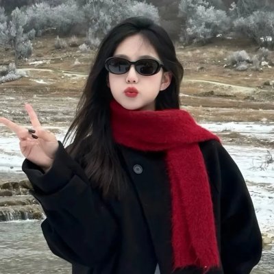 隆美尔传 封面
